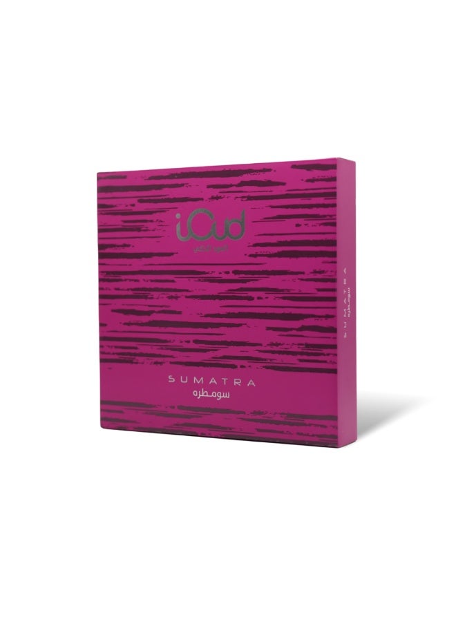 iOUD-  Pure Oud - 12 Sticks - Image 1